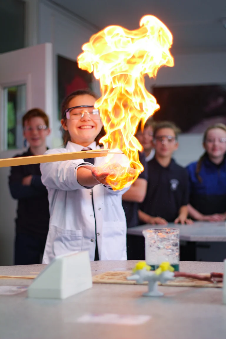 Excelencia académica