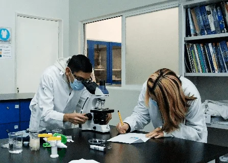 Medicina y Química