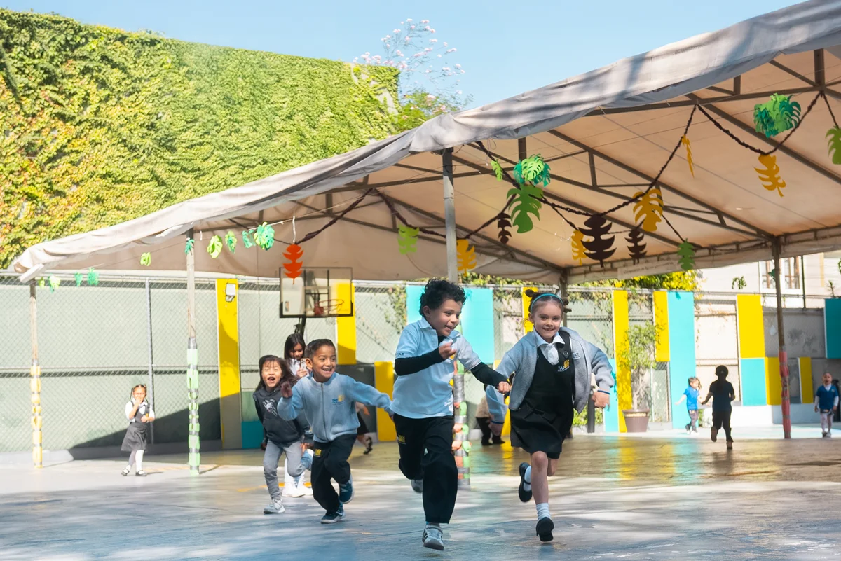 Solicite información