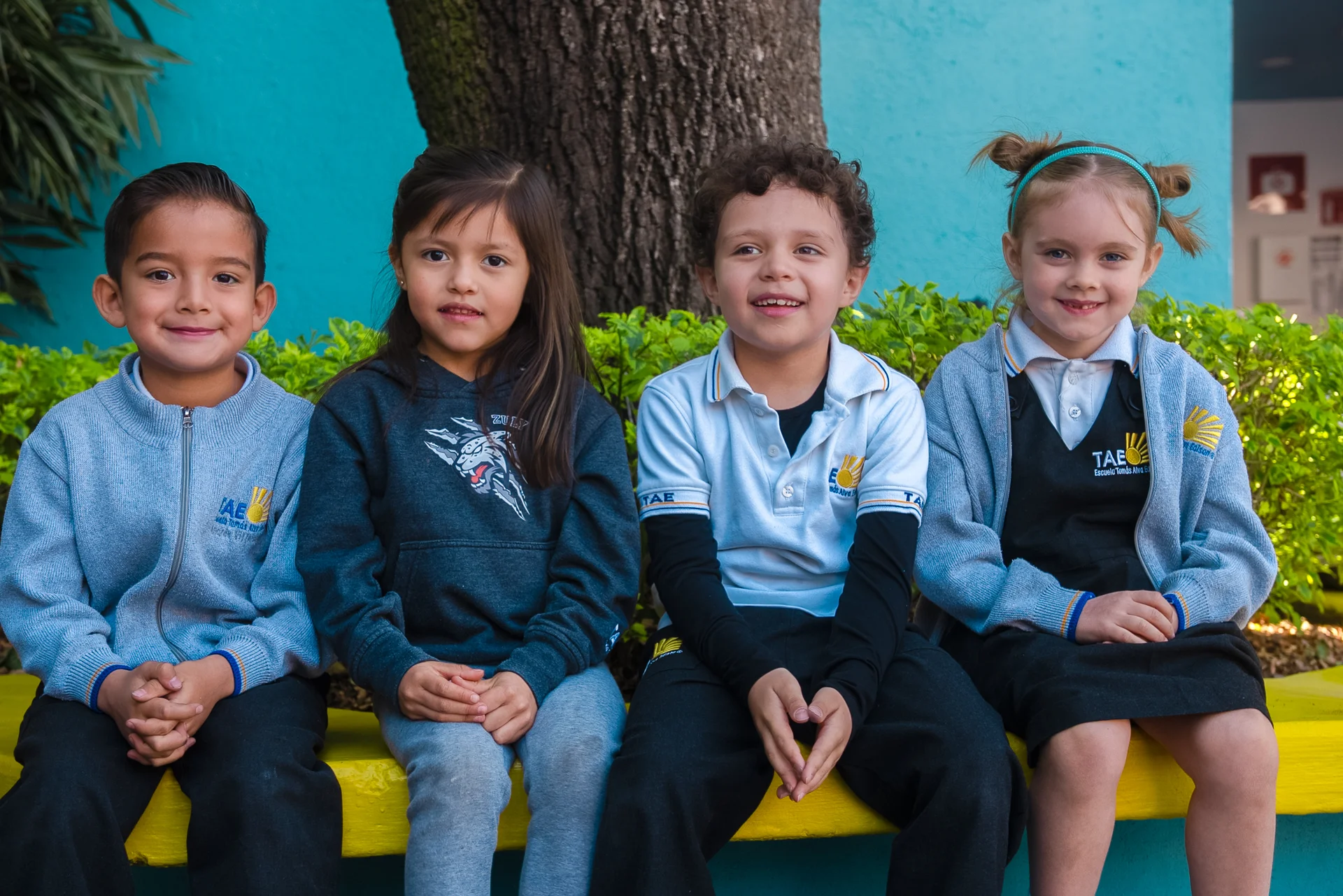 ¿Por qué elegirnos?