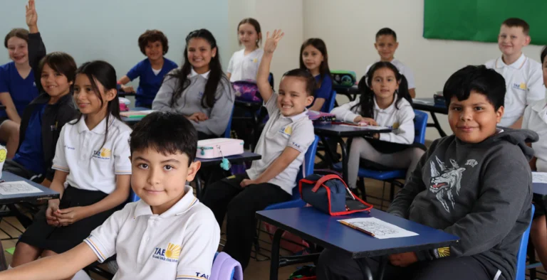 Excelencia académica