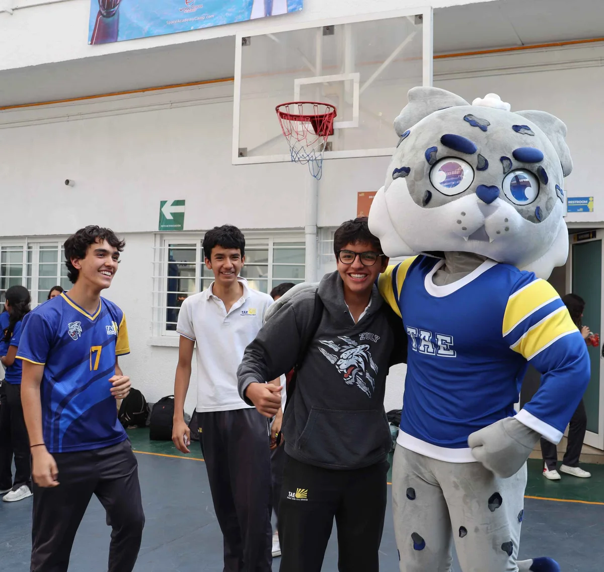 Secundaria